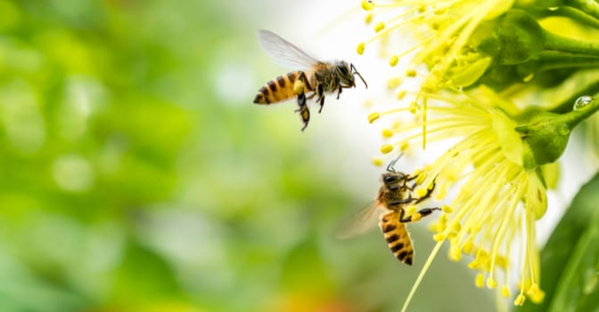 ABA Health Law Summit