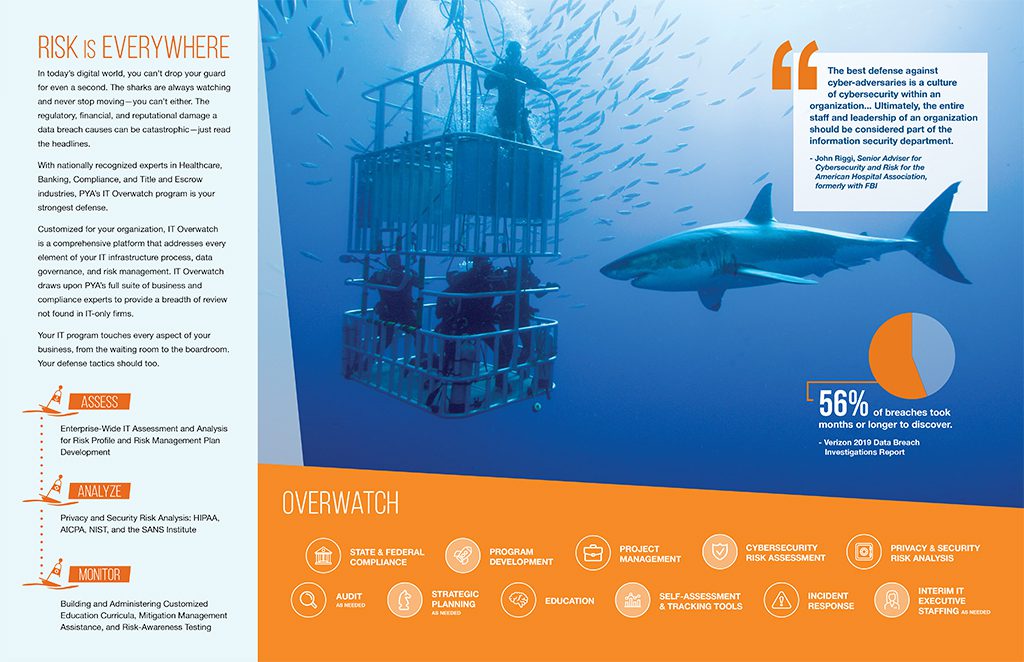 PYA's IT Overwatch Program